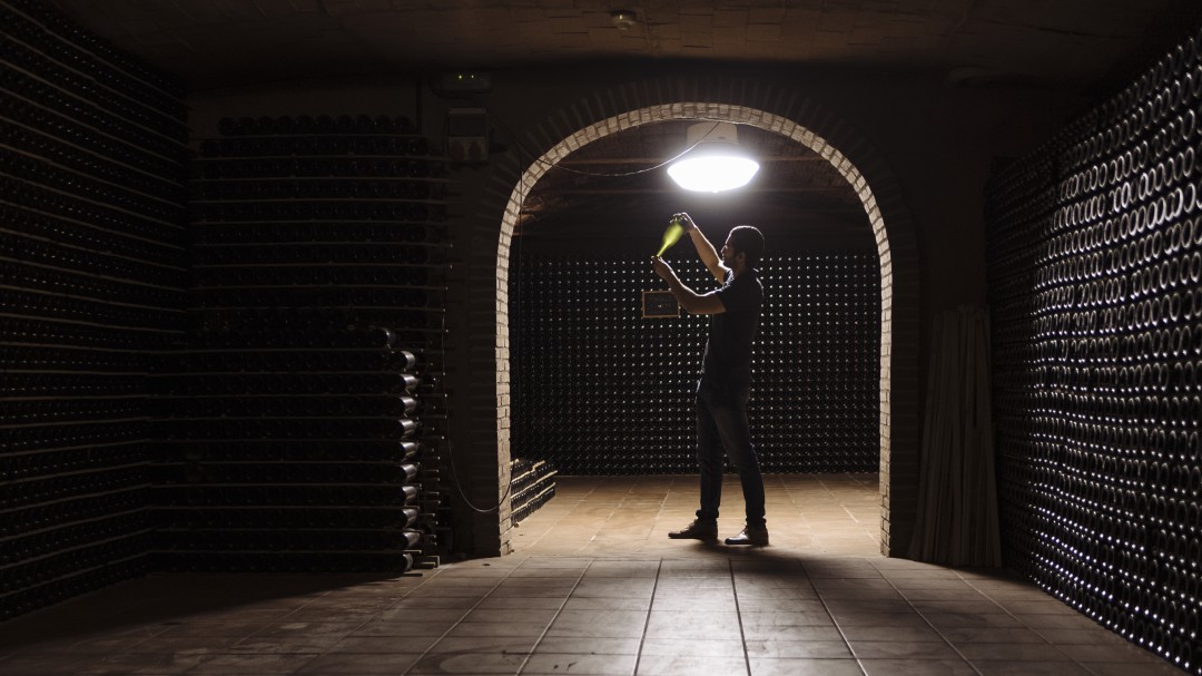 Nos beberemos más de 9 millones de botellas de Cava valenciano