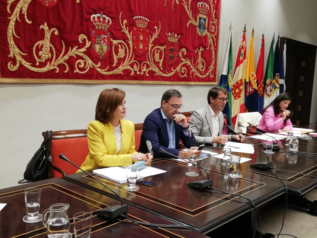 La consejera de Sanidad del Gobierno de Canarias, Teresa Cruz, en la comision parlamentaria. La consejera de Sanidad del Gobierno de Canarias, Teresa Cruz, en la comision parlamentaria.