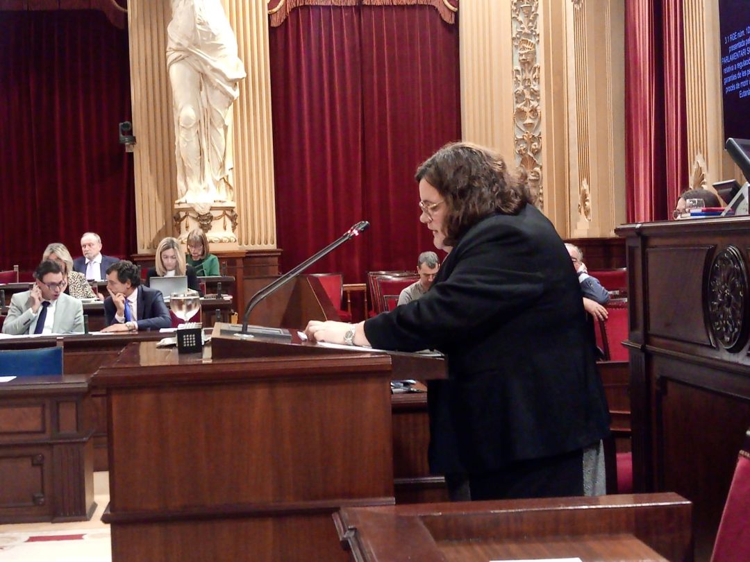 El Parlament reclama una ley para garantizar la muerte digna El Parlament reclama una ley para garantizar la muerte digna