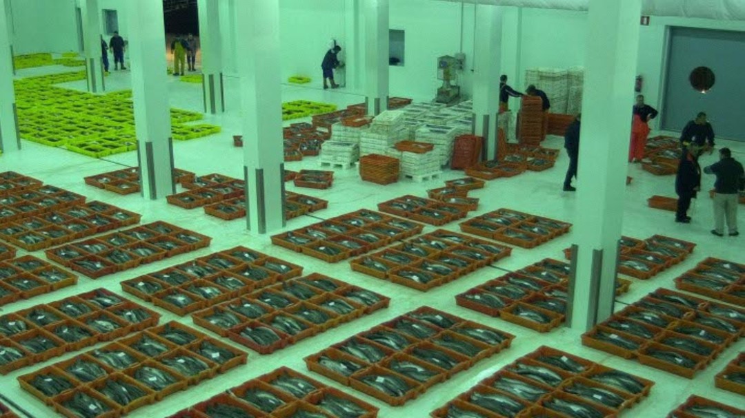 El pescado de la lonja tendrá la marca A Coruña