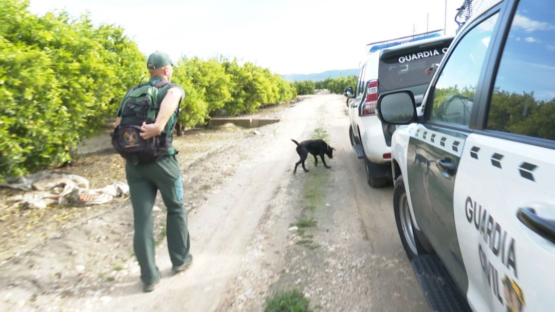 Un agente con un perro en la búsqueda de Marta Calvo por los alrededores de Manuel Un agente con un perro en la búsqueda de Marta Calvo por los alrededores de Manuel