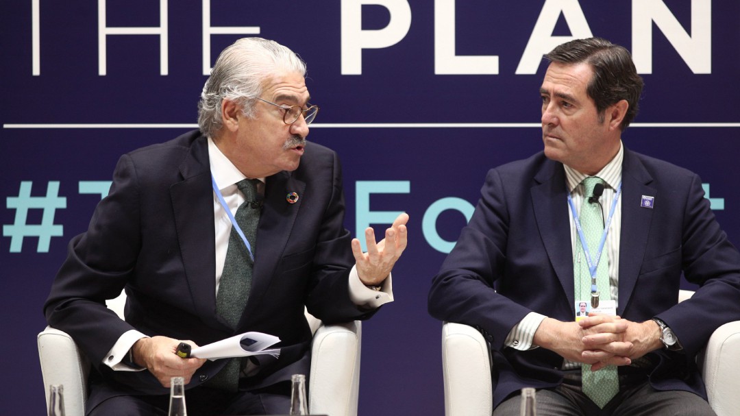 Endesa cifra su inversión en renovables en el Bierzo en 341 millones