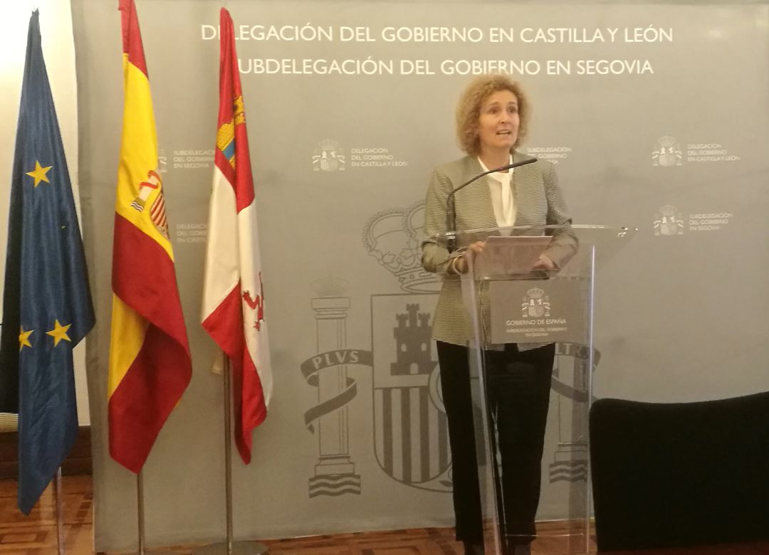 La subdelegada Lirio Martín ha presidido esta mañana la Comisión de Flujos Migratorios La subdelegada Lirio Martín ha presidido esta mañana la Comisión de Flujos Migratorios