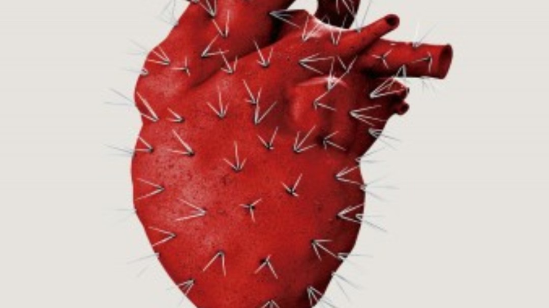 Los libros que nos han hecho disfrutar en 2019
