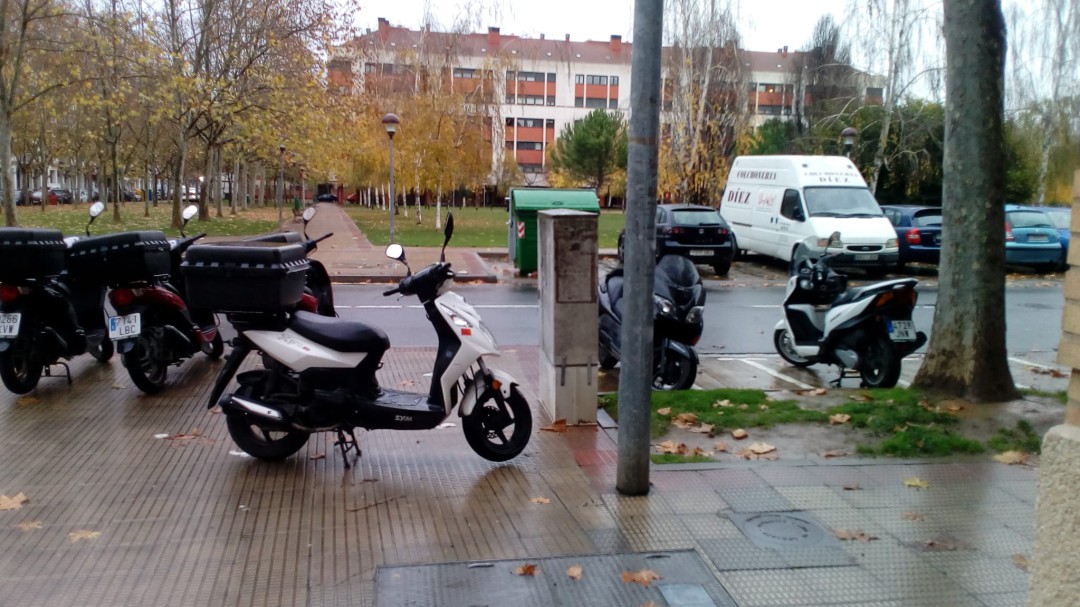 El portavoz municipal responde