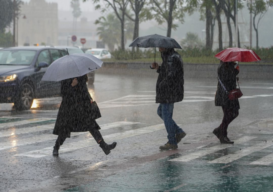 La Junta declara la alerta por fuertes rachas de viento y lluvia La Junta declara la alerta por fuertes rachas de viento y lluvia