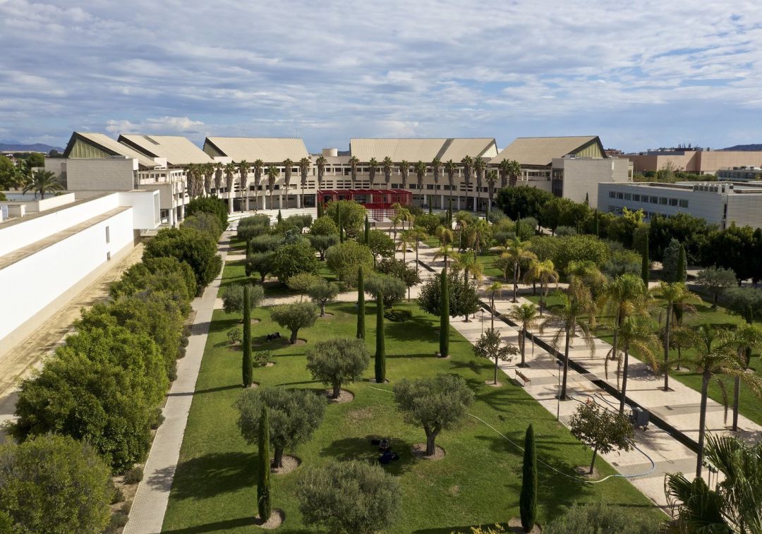 El Campus de la UA, imagen de archivo. El Campus de la UA, imagen de archivo.