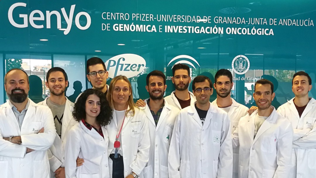 Descubren el papel desconocido de una protenía en el cáncer de pulmón lo que abre nuevas vías de investigación