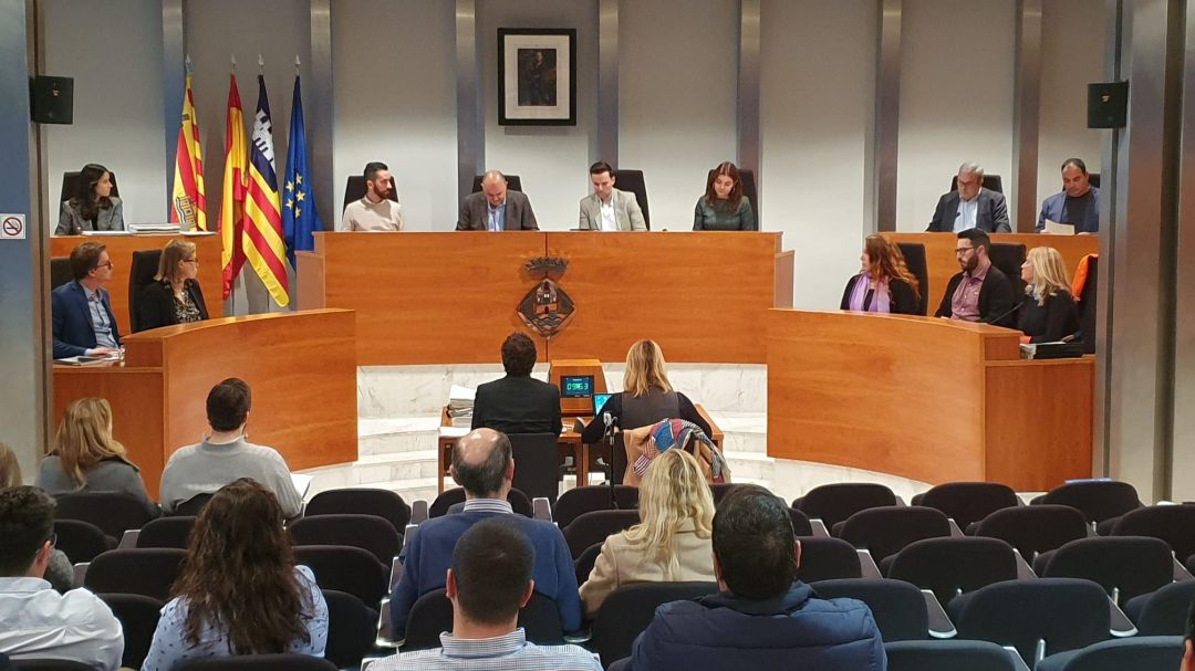 Imagen del pleno del Consell de Ibiza Imagen del pleno del Consell de Ibiza