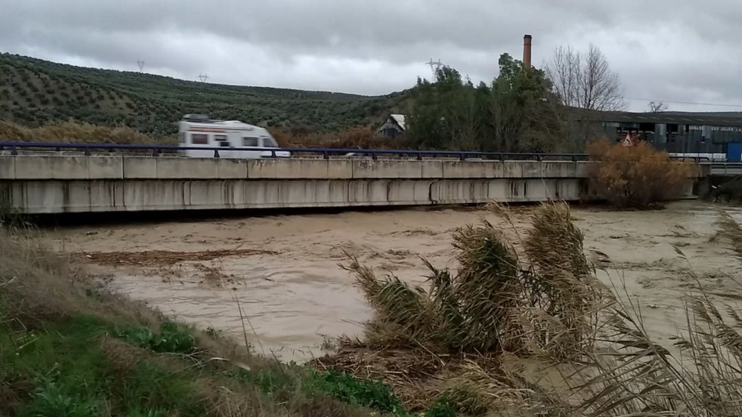 Arroyo Salado a su paso por el polígono industrial de Marmolejo. Arroyo Salado a su paso por el polígono industrial de Marmolejo.