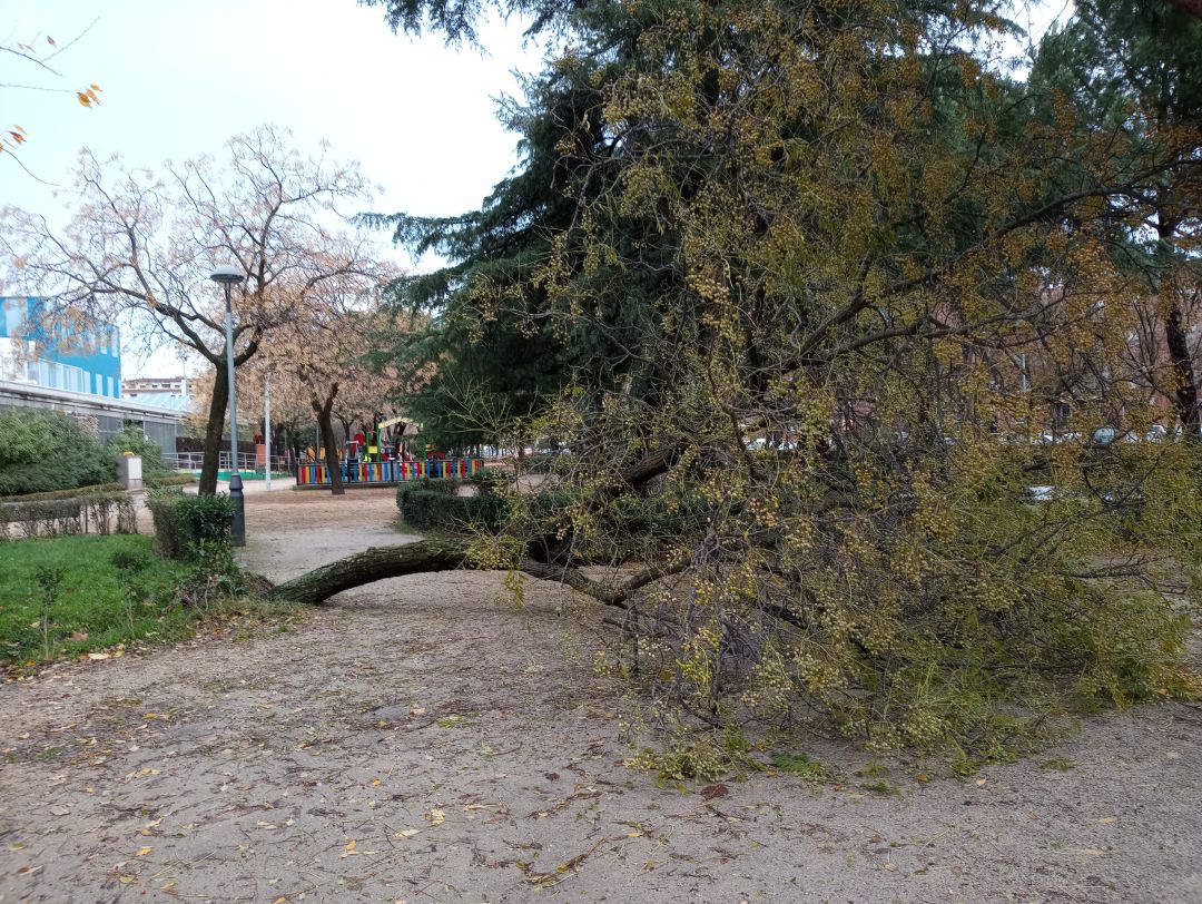 Temporal Temporal
