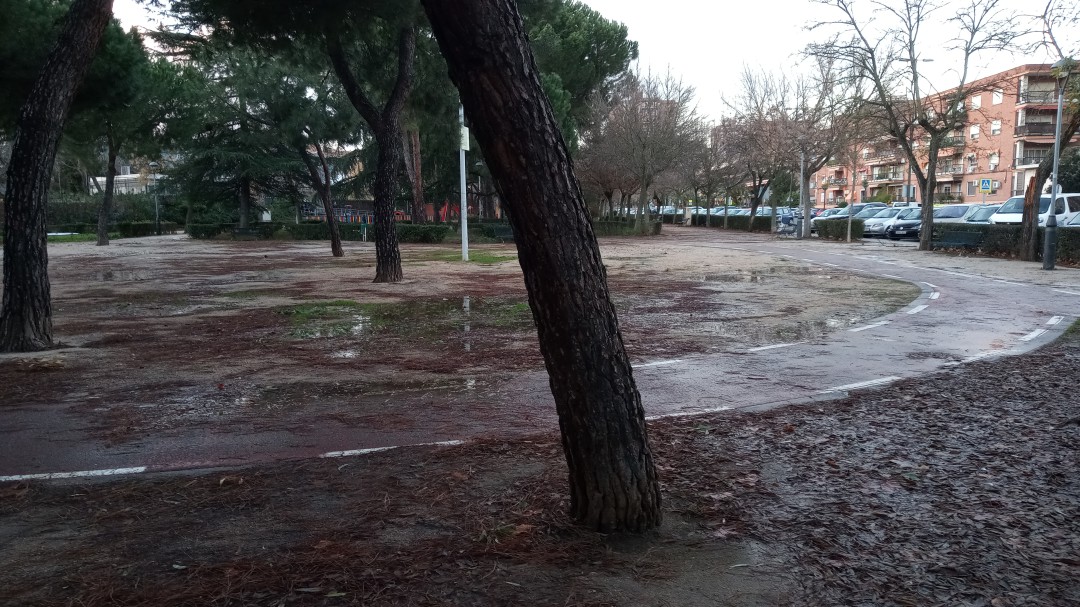 El temporal azota también a Talavera con intensa actividad de Bomberos y servicios de seguridad