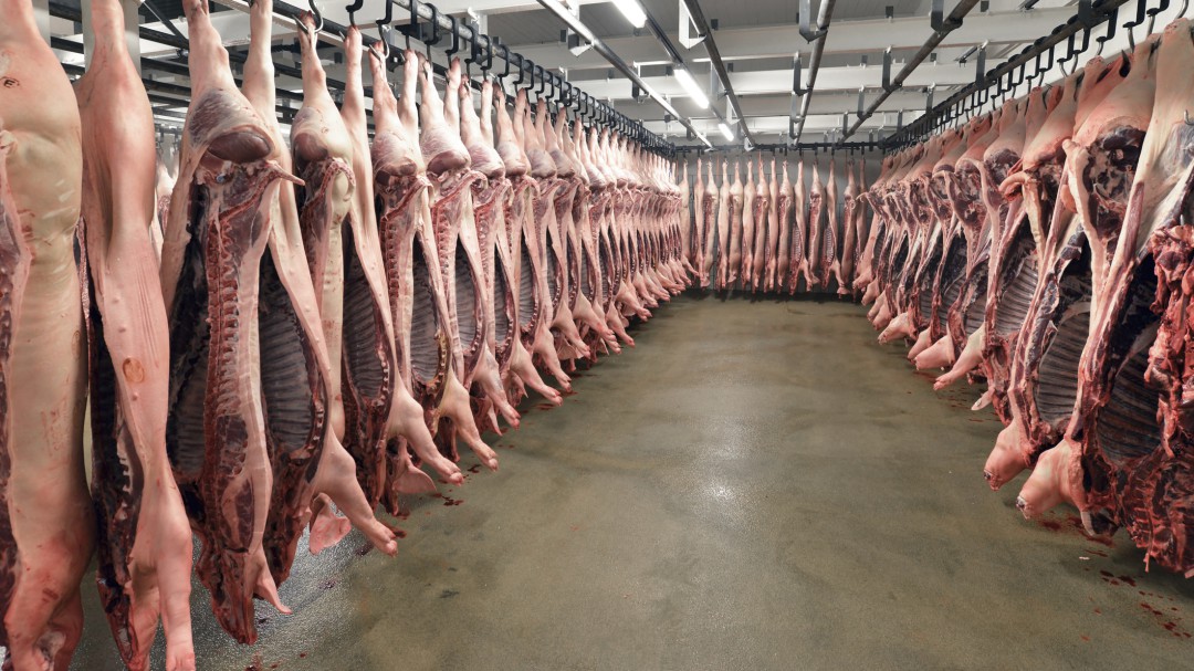 Al tratado comercial con el Mercosur se le atraganta la carne