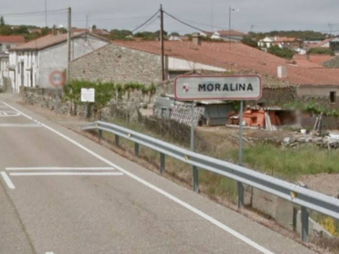 El suceso del ciervo de Moralina entra en fase de diligencias El suceso del ciervo de Moralina entra en fase de diligencias