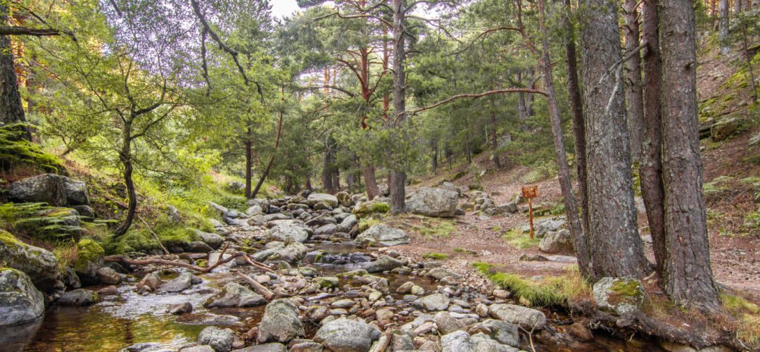 Entorno de la Sierra de Guadarrama Entorno de la Sierra de Guadarrama