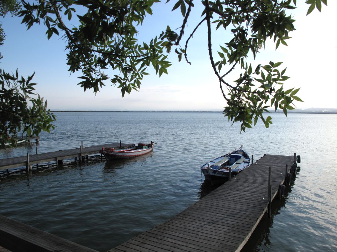 L'Albufera de València. (Archivo) L'Albufera de València. (Archivo)