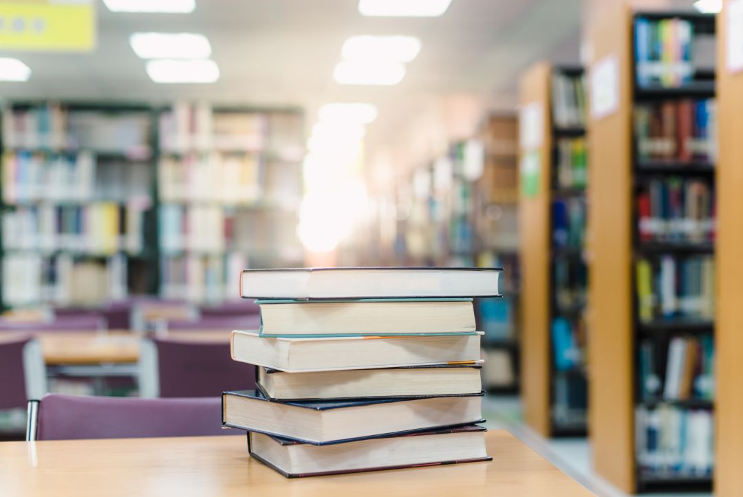 El plan para renovar las bibliotecas tiene una dotación de casi dos millones de euros El plan para renovar las bibliotecas tiene una dotación de casi dos millones de euros