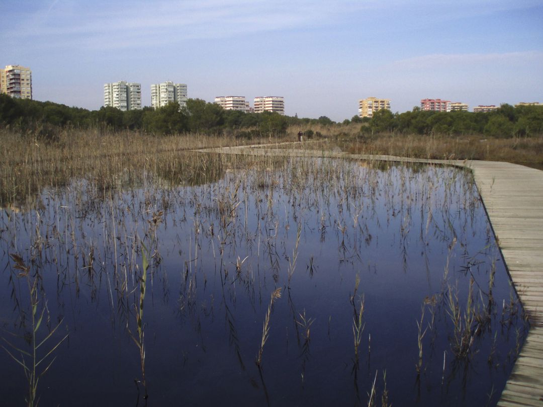 Albufera de València (archivo) Albufera de València (archivo)