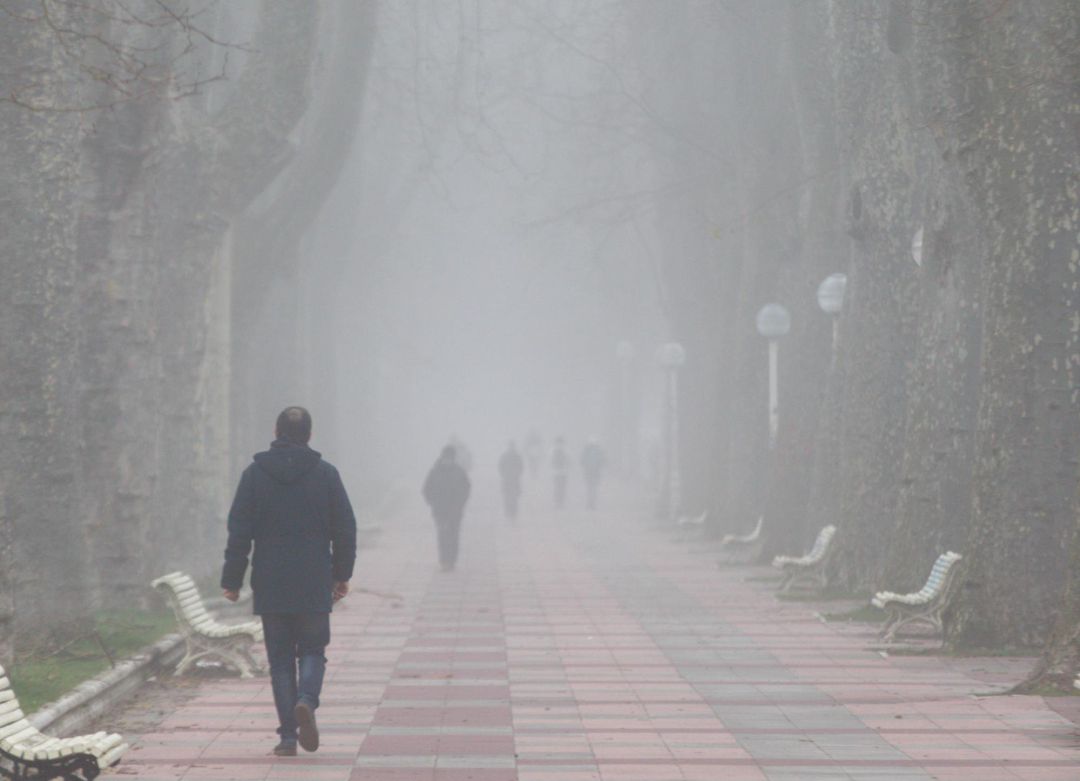 Álava, bajo la niebla Álava, bajo la niebla