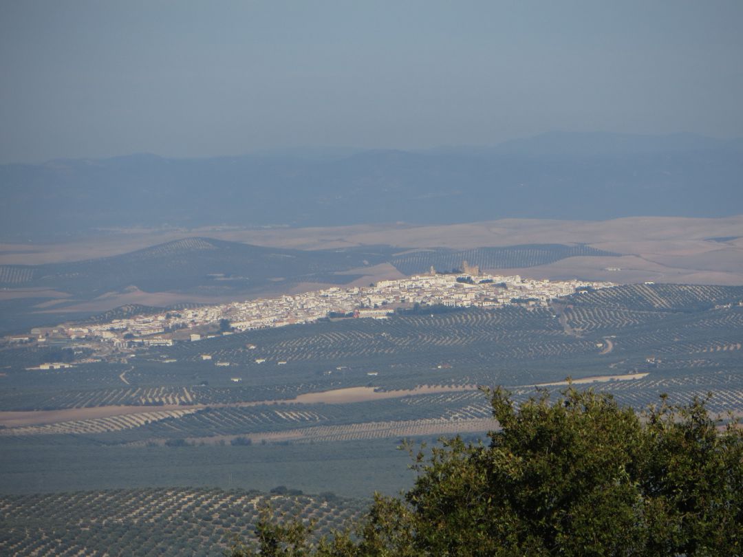 Panorámica de Espejo en el Guadajoz - Campiña Este Panorámica de Espejo en el Guadajoz - Campiña Este