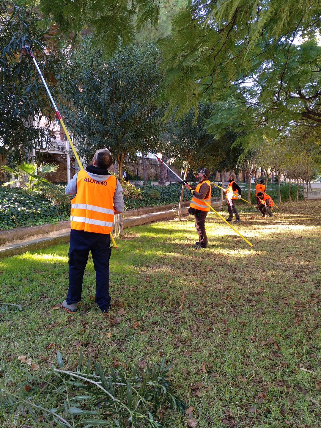 El Ayuntamiento de València oferta cursos de jardinería, arte floral y medio ambiente El Ayuntamiento de València oferta cursos de jardinería, arte floral y medio ambiente