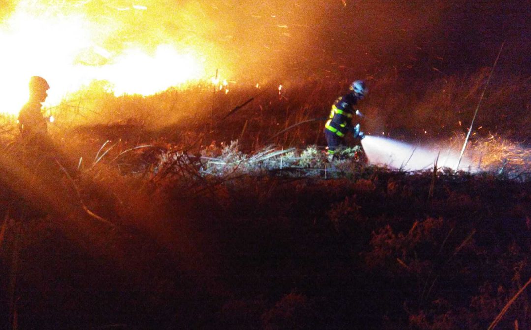 Efectivos de bomberos trabajando en el incendio de la dehesa de las Yeguas en Puerto Real Efectivos de bomberos trabajando en el incendio de la dehesa de las Yeguas en Puerto Real