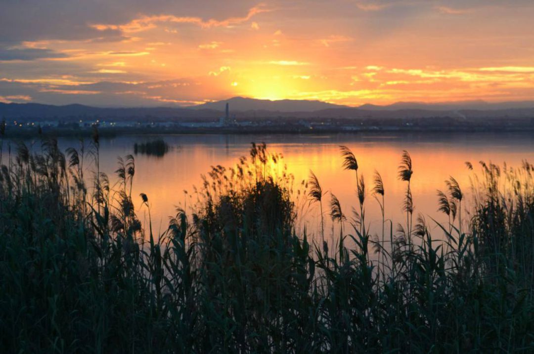 Tancat de Mília, junto a la Albufera de València Tancat de Mília, junto a la Albufera de València