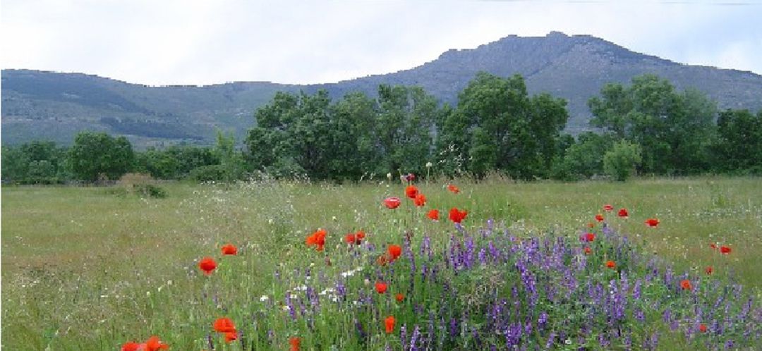 Sierra de Guadarrama Sierra de Guadarrama