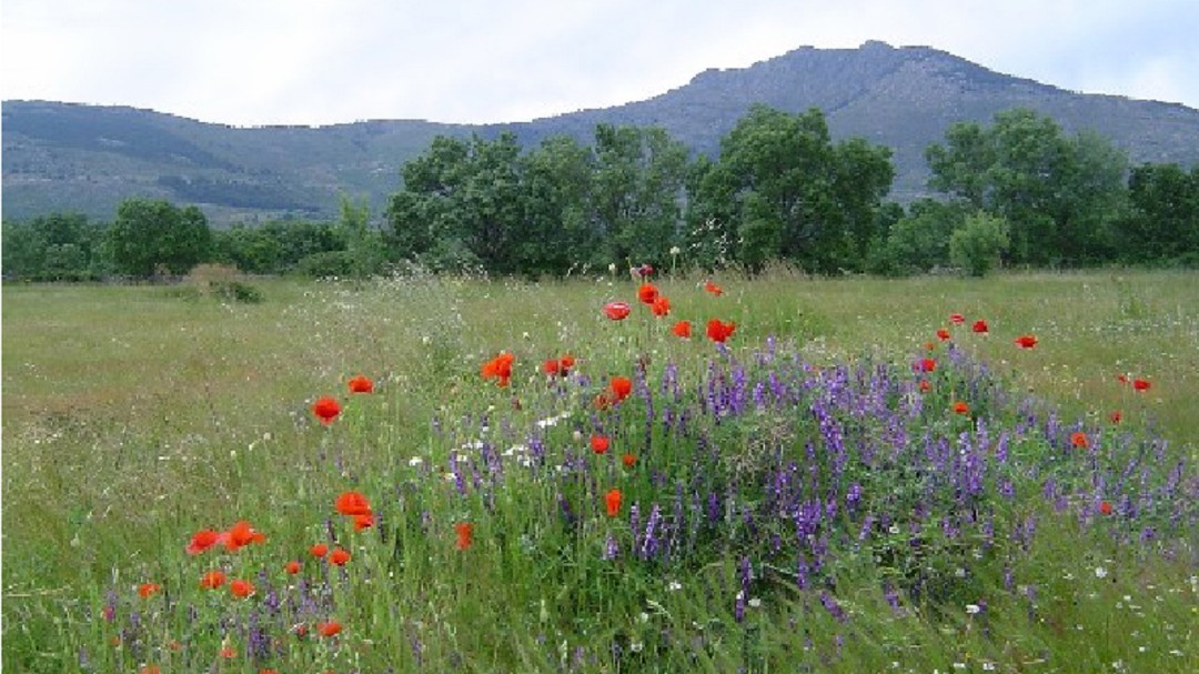 La Escuela de Montaña arranca 2020 con una docena de salidas al aire libre y la naturaleza