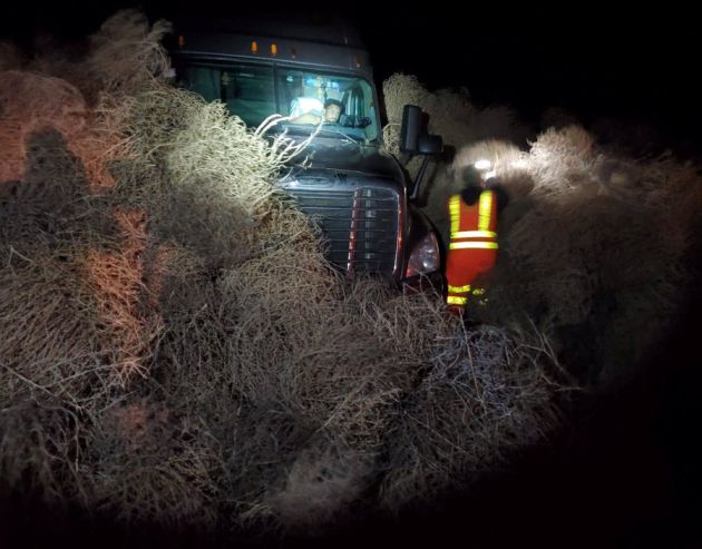 Miles de plantas rodadoras atrapan a varios coches en una autopista de EEUU Miles de plantas rodadoras atrapan a varios coches en una autopista de EEUU