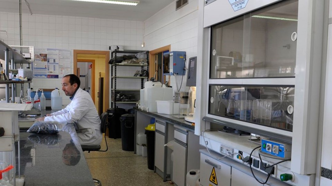 Treinta años de investigación del cultivo del champiñón en Quintanar del Rey