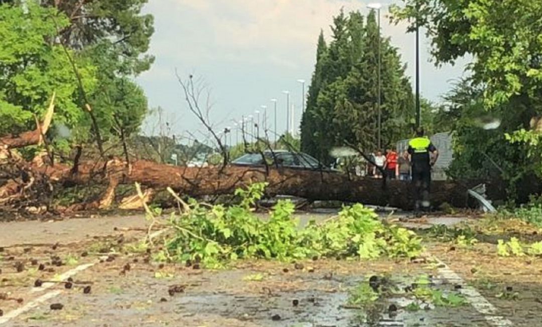 Consecuencias de una fuerte tormenta, en verano de 2018, en Garrapinillos (Zaragoza). Consecuencias de una fuerte tormenta, en verano de 2018, en Garrapinillos (Zaragoza).