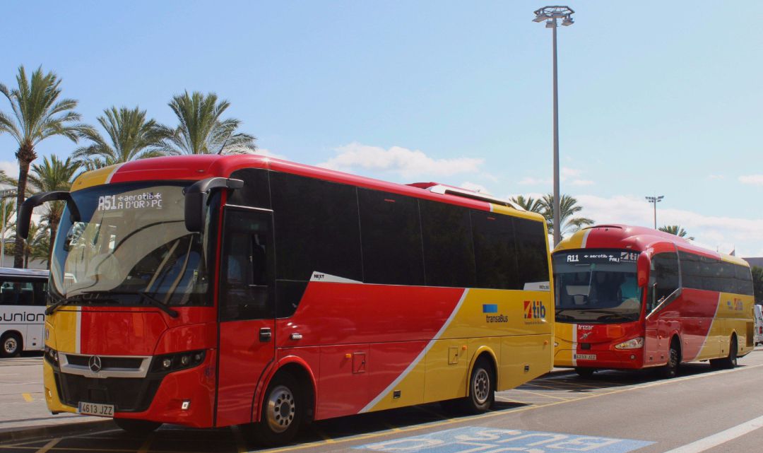 Autobuses del TIB. Autobuses del TIB.