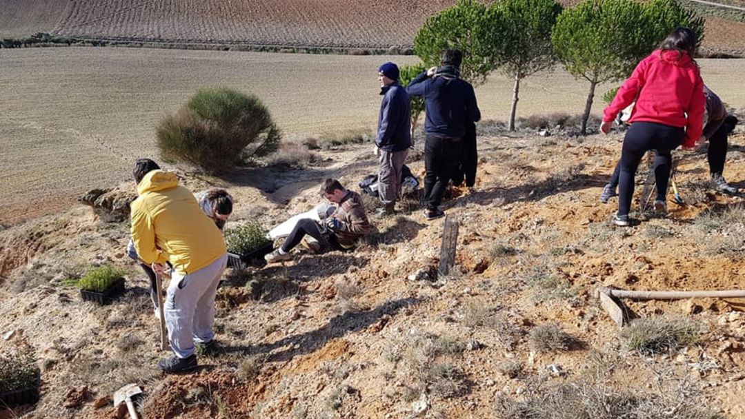Los voluntarios en plena tarea de reforestación en la ladera de Santa María. Los voluntarios en plena tarea de reforestación en la ladera de Santa María.