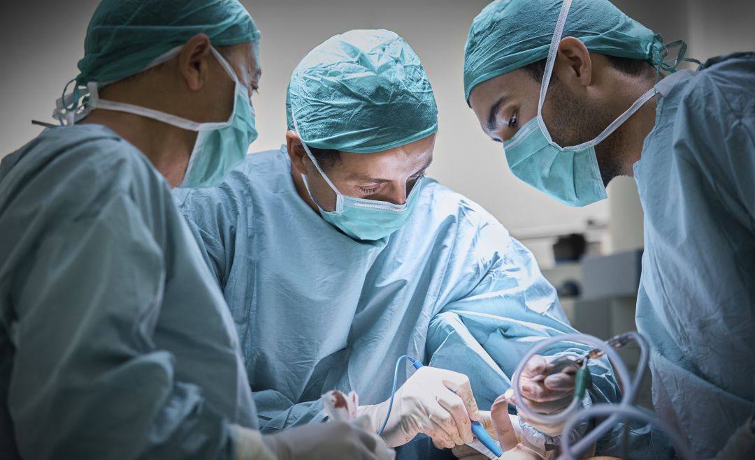 El Sindicato Médico alerta de que faltan médicos para el plan de choque que pretende poner en marcha la Conselleria de Sanidad. El Sindicato Médico alerta de que faltan médicos para el plan de choque que pretende poner en marcha la Conselleria de Sanidad.