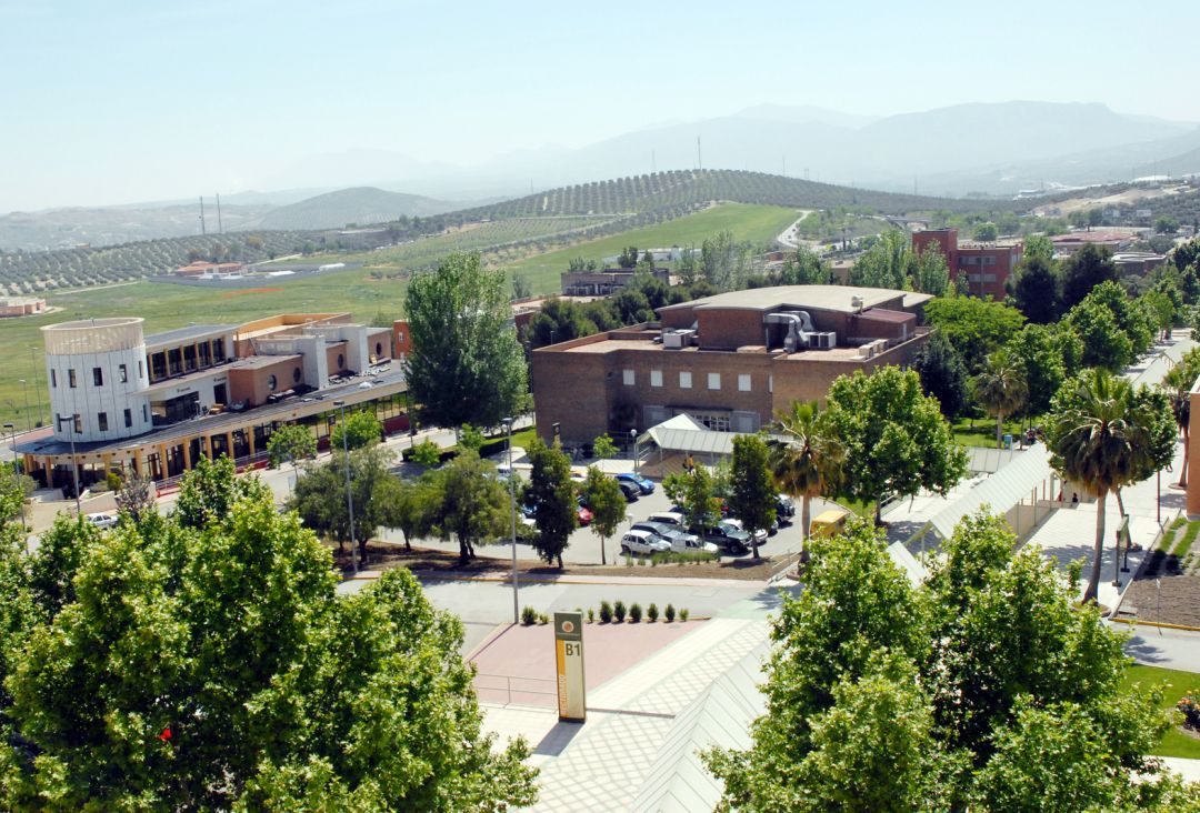 Universidad de Jaén. Universidad de Jaén.
