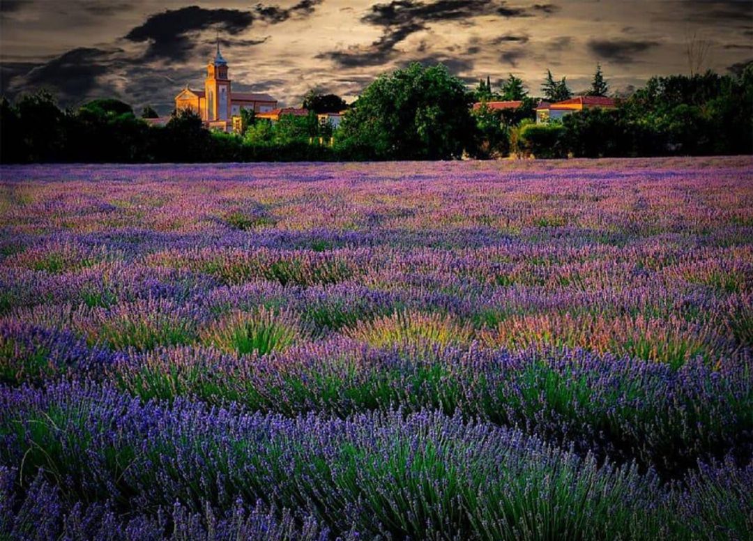 Fotografía ganadora del concurso "Rincones de Palencia" Fotografía ganadora del concurso "Rincones de Palencia"
