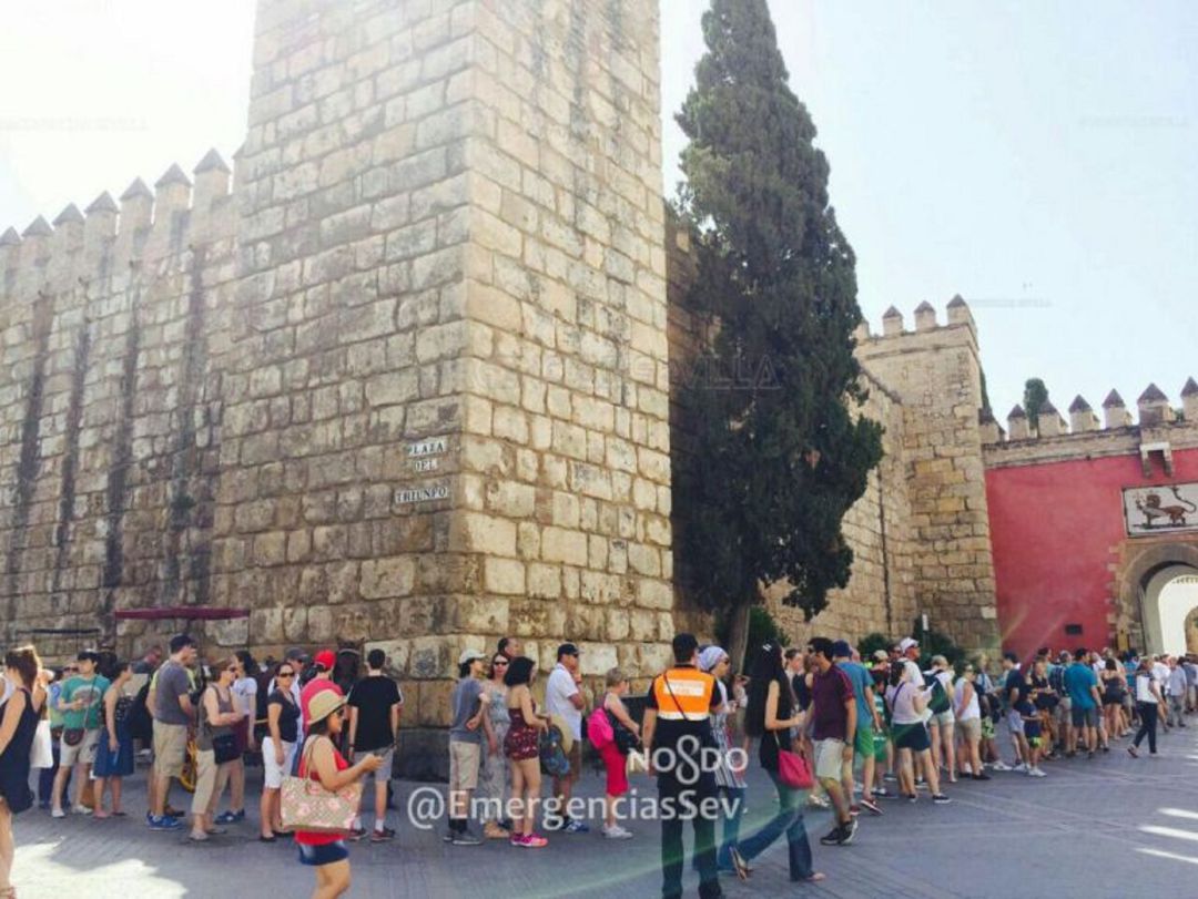 Cola para acceder al Real Alcázar, una imagen con la que quiere acabar el Ayuntamiento de Sevilla con un nuevo sistema de gestión de las entradas Cola para acceder al Real Alcázar, una imagen con la que quiere acabar el Ayuntamiento de Sevilla con un nuevo sistema de gestión de las entradas