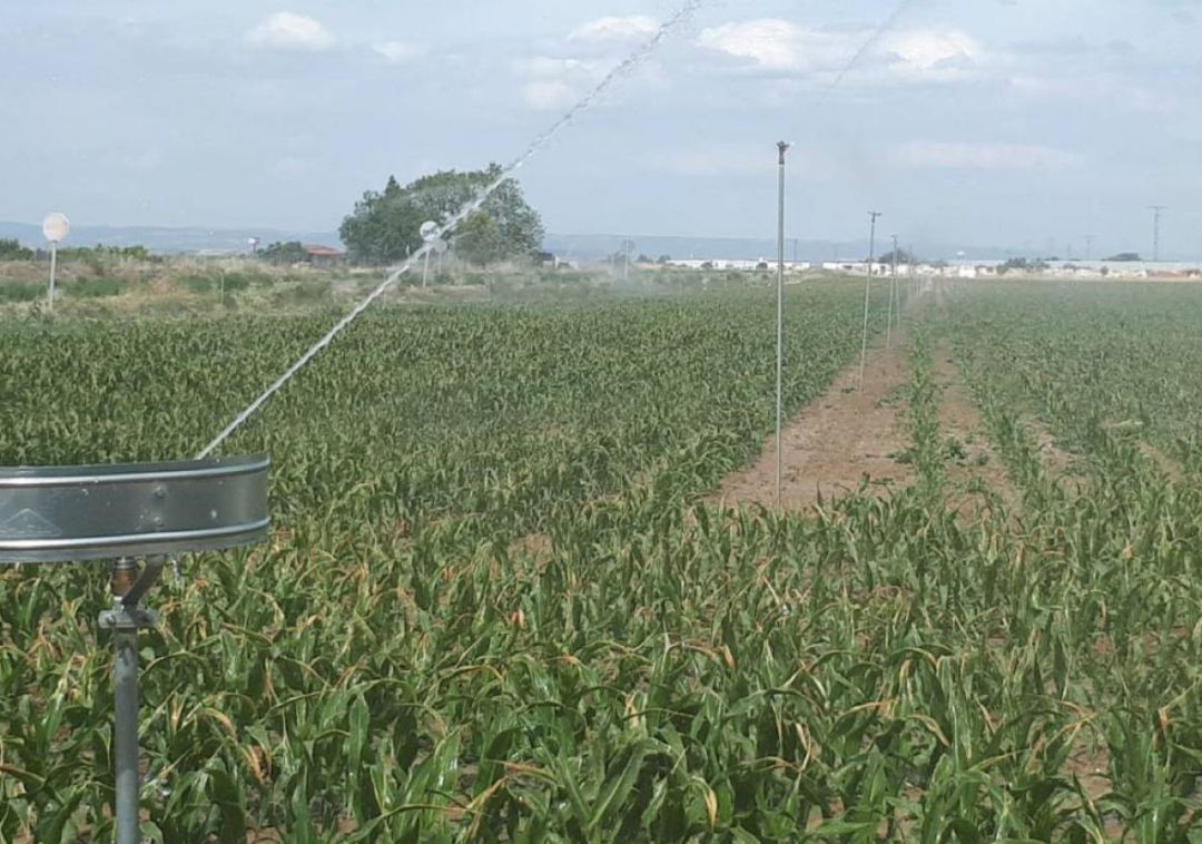 Parcelas de Funes que desde hace unos mese riega el agua del Canal de Navarra Parcelas de Funes que desde hace unos mese riega el agua del Canal de Navarra