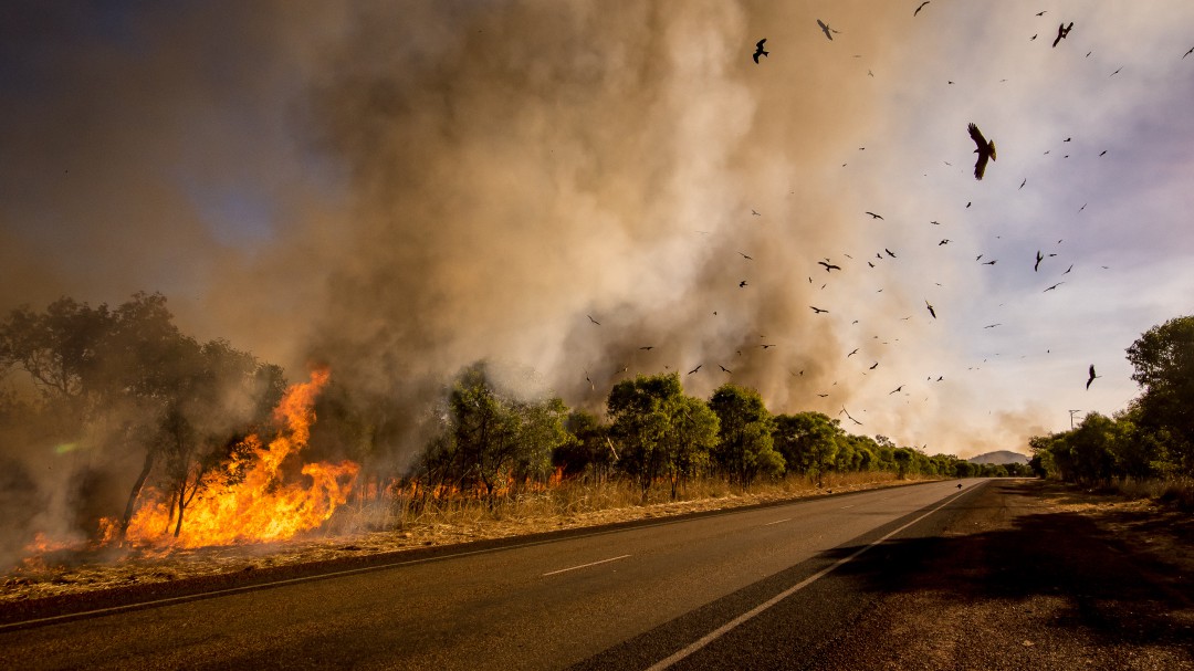Marc Castellnou: "La causa principal de estos incendios extremos es el cambio climático"