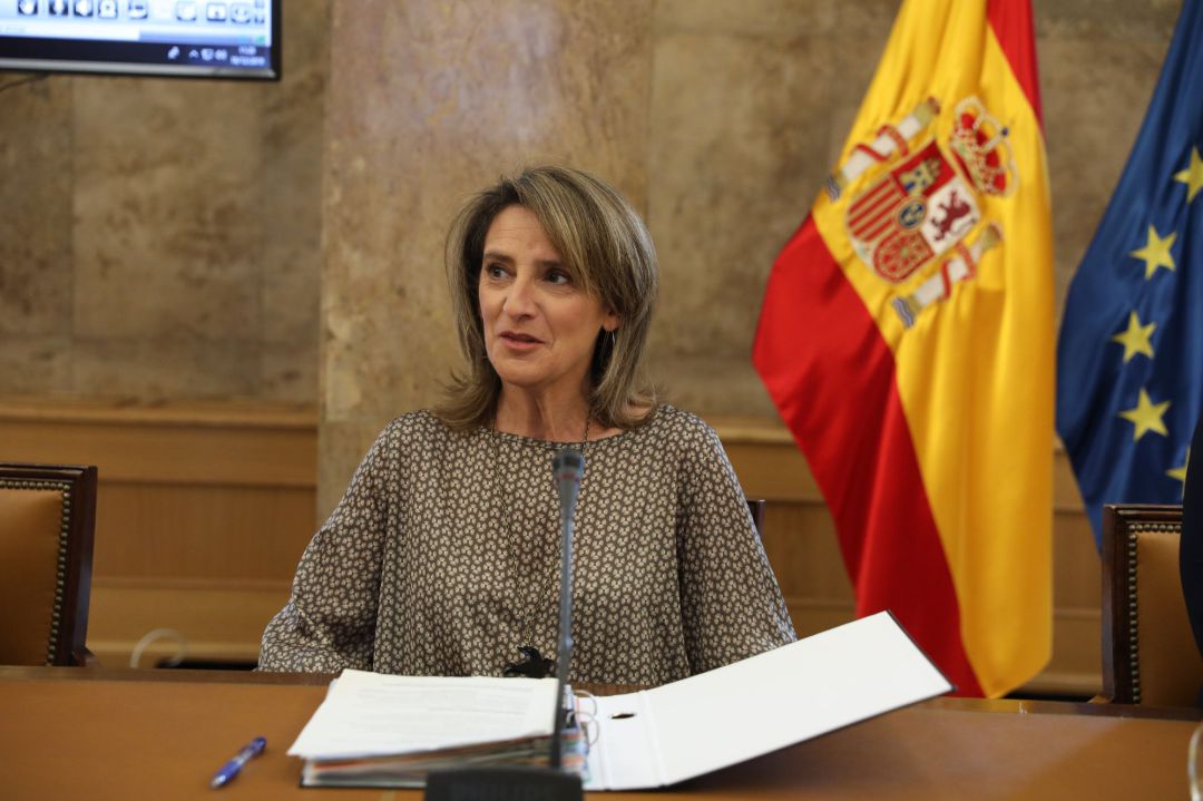 Teresa Ribera Teresa Ribera
