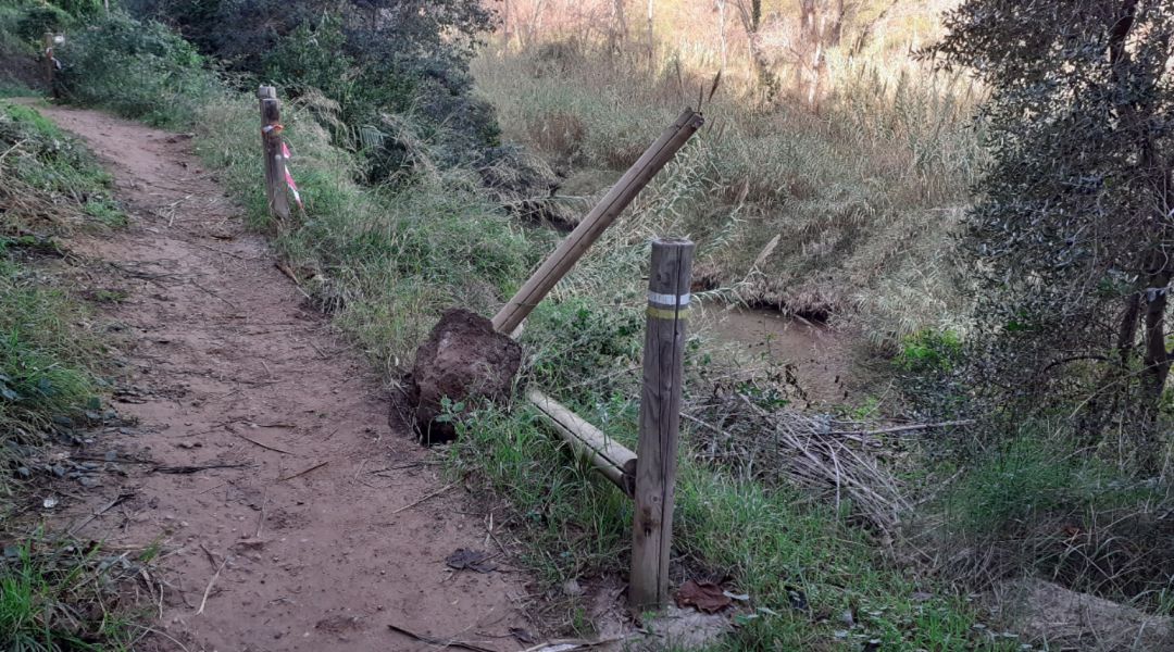 VILA-REAL: La ruta botánica de la Desembocadura del río Mijares va a ser reparada VILA-REAL: La ruta botánica de la Desembocadura del río Mijares va a ser reparada