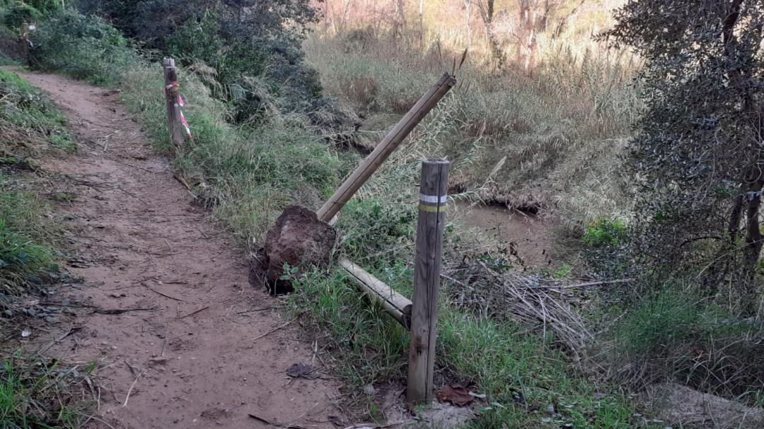La ruta botánica de la Desembocadura del río Mijares va a ser reparada