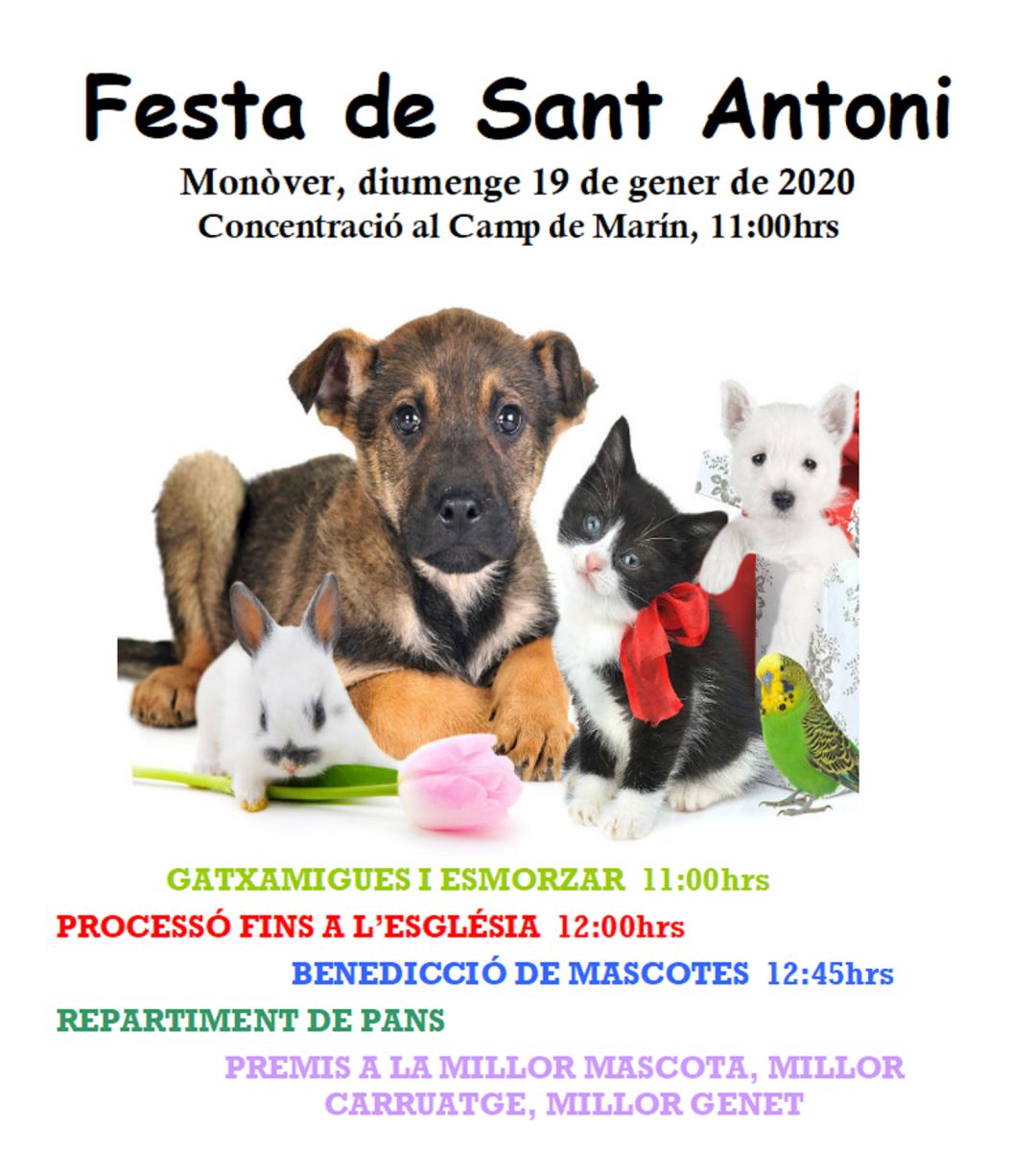 Cartel del evento en Monóvar Cartel del evento en Monóvar