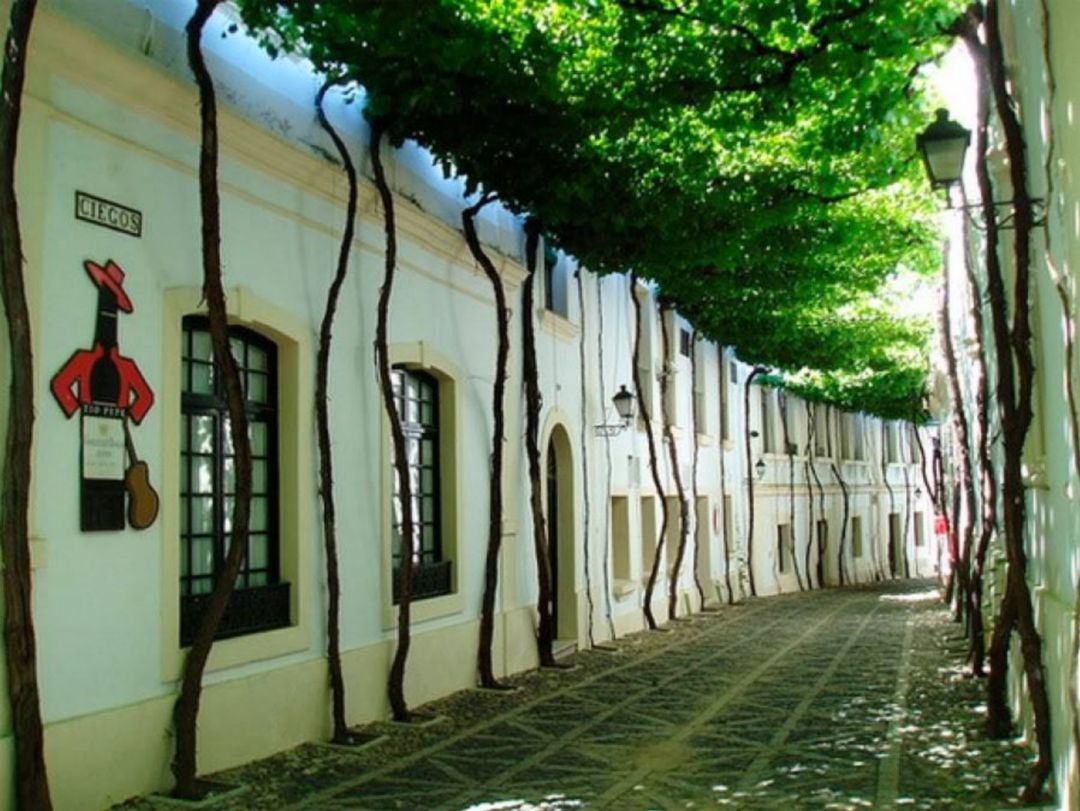 Calle Ciegos, cubierta por la parra, en González Byass Calle Ciegos, cubierta por la parra, en González Byass