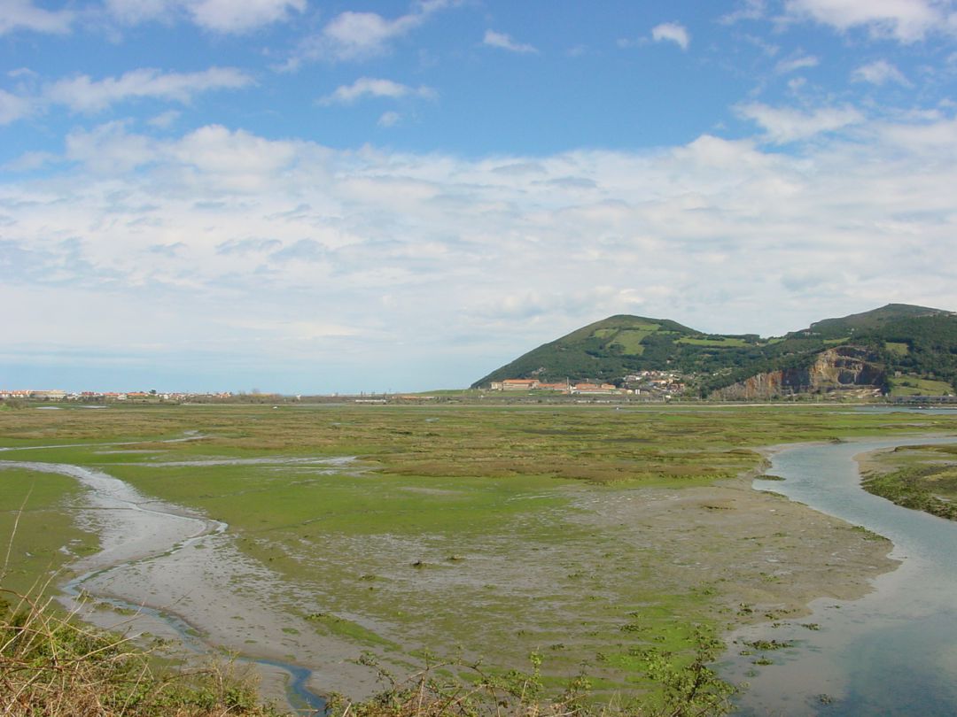 Localizado en las marismas de Santoña el cuerpo del pescador desaparecido Localizado en las marismas de Santoña el cuerpo del pescador desaparecido