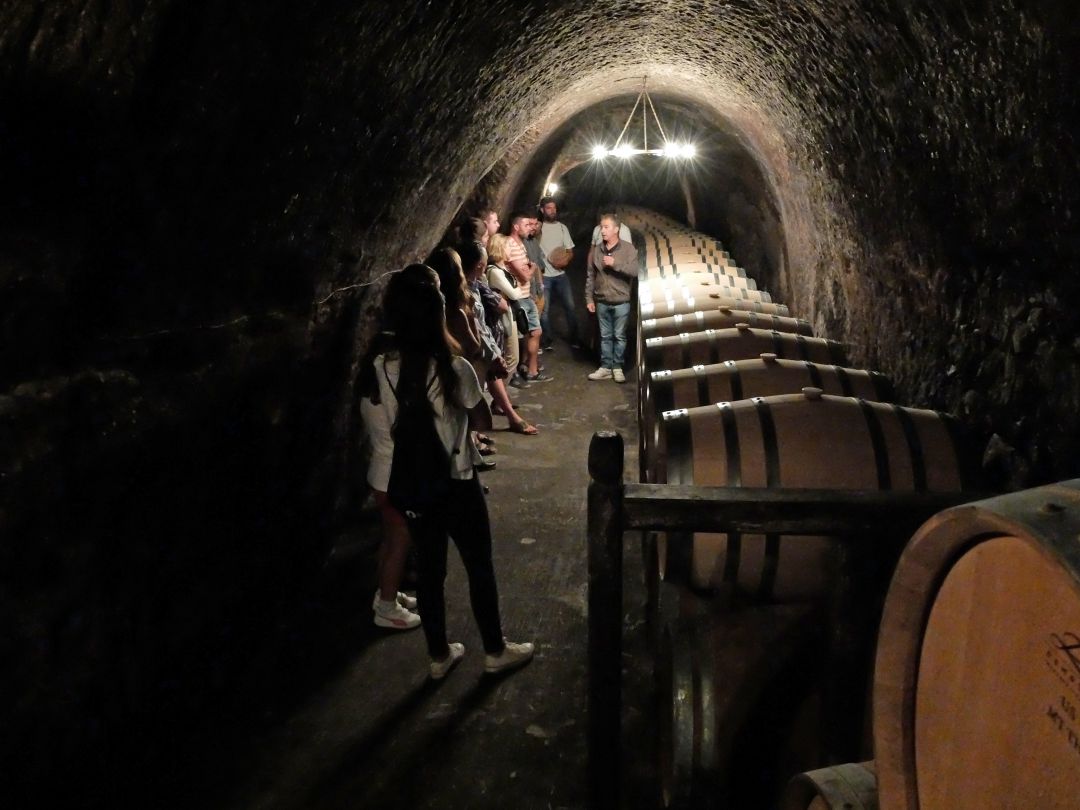 Visita de una de las bodegas subterráneas Visita de una de las bodegas subterráneas