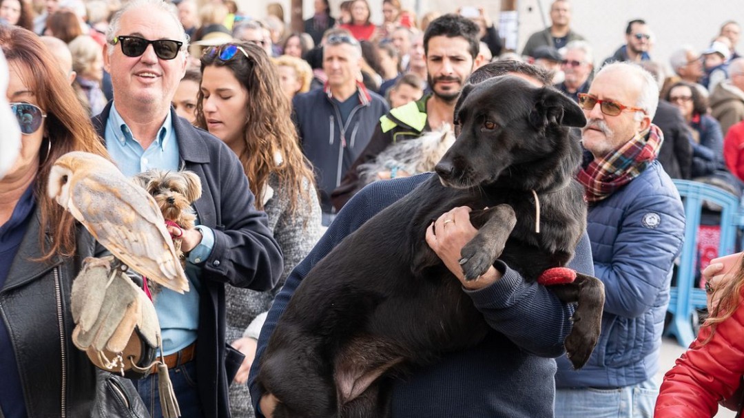 San Antón celebra la tradicional bendición de animales este viernes