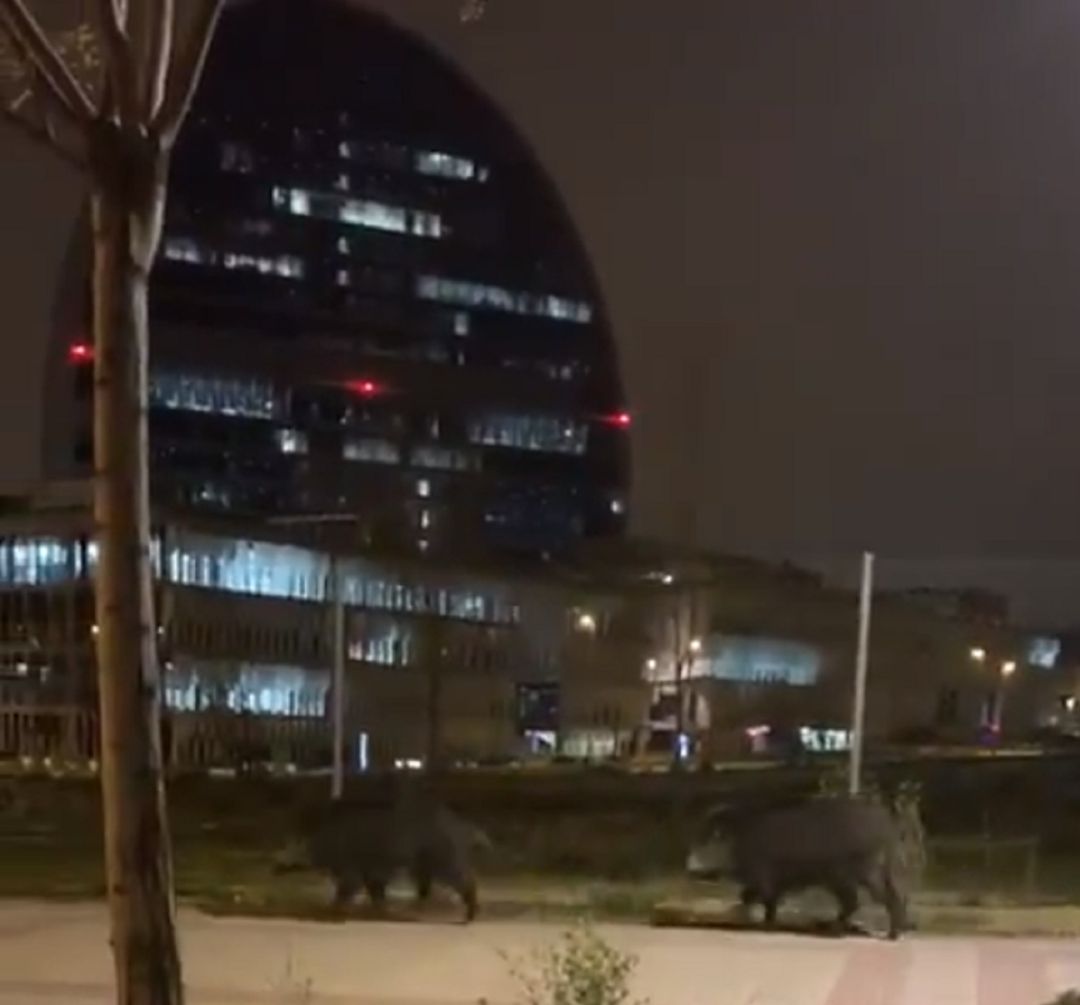 Imagen del vídeo compartido en redes sociales grabado por vecinos de Las Tablas. Imagen del vídeo compartido en redes sociales grabado por vecinos de Las Tablas.