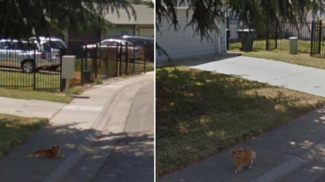 Una joven encuentra a su abuelo fallecido gracias a una foto de Google Maps: "Estaba allí"